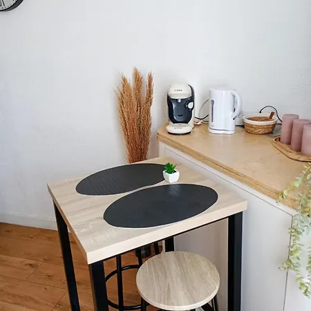 Cosy Proche Gare Et Centre Daire